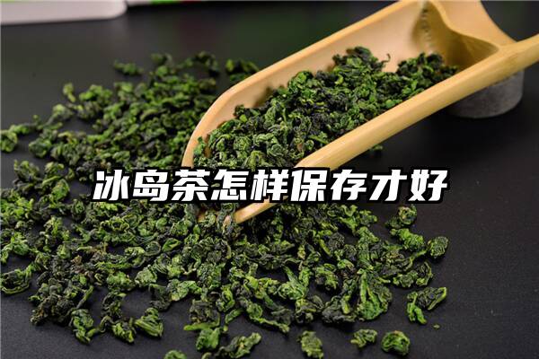 冰岛茶怎样保存才好