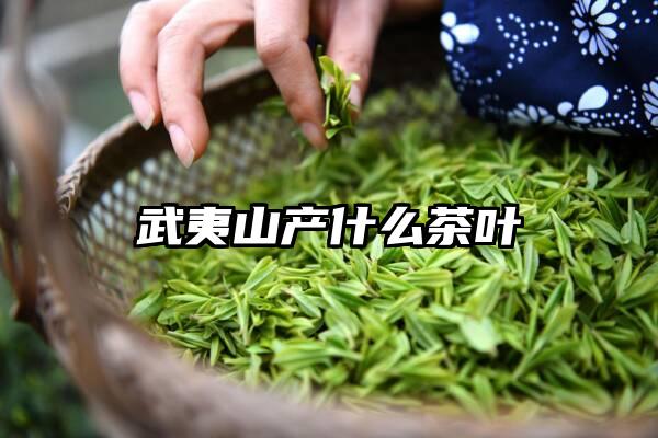 武夷山产什么茶叶