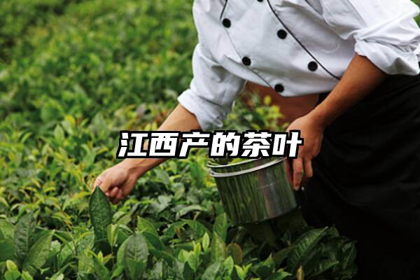 江西产的茶叶