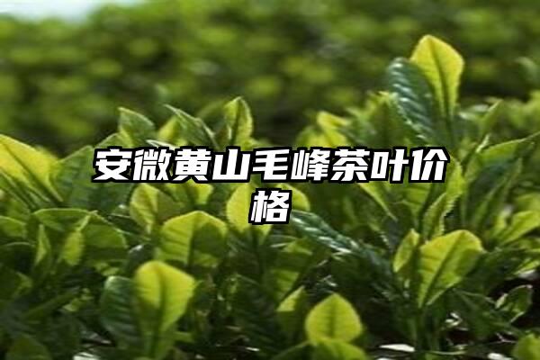 安微黄山毛峰茶叶价格