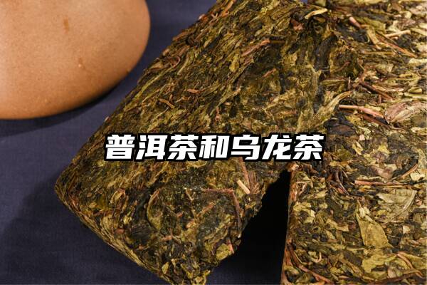 普洱茶和乌龙茶