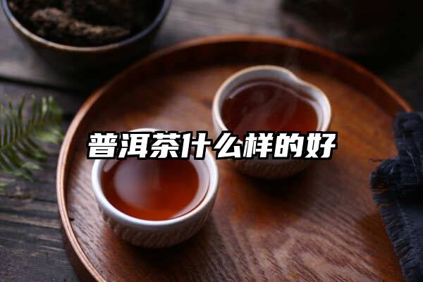 普洱茶什么样的好