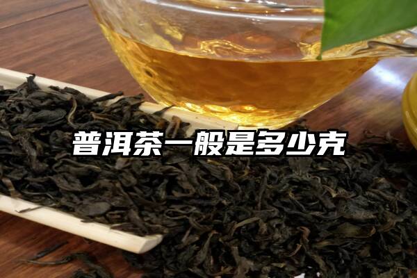 普洱茶一般是多少克