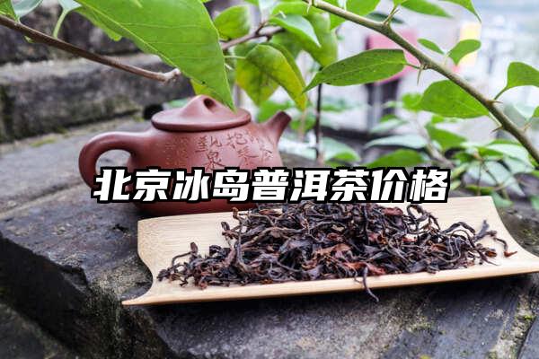 北京冰岛普洱茶价格