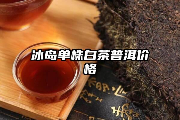 冰岛单株白茶普洱价格