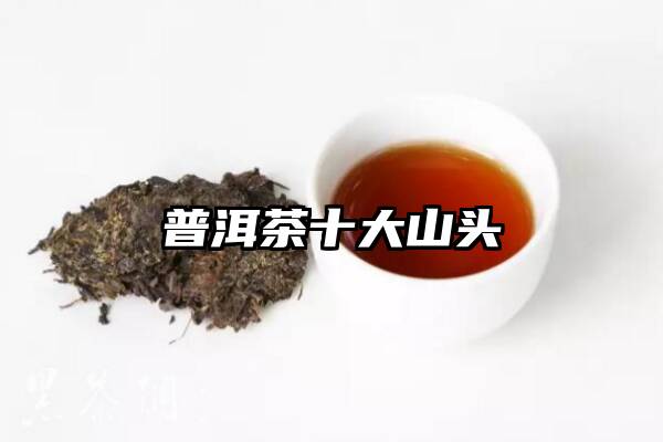 普洱茶十大山头