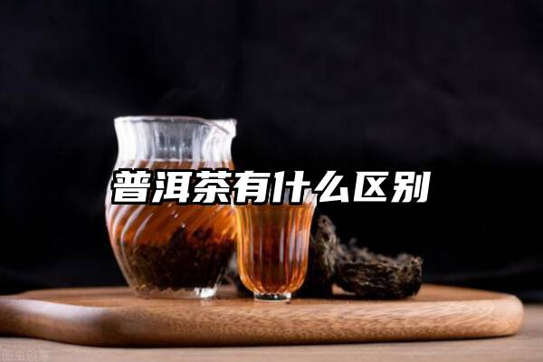 普洱茶有什么区别