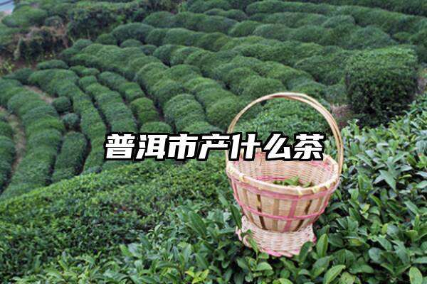 普洱市产什么茶