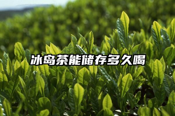 冰岛茶能储存多久喝