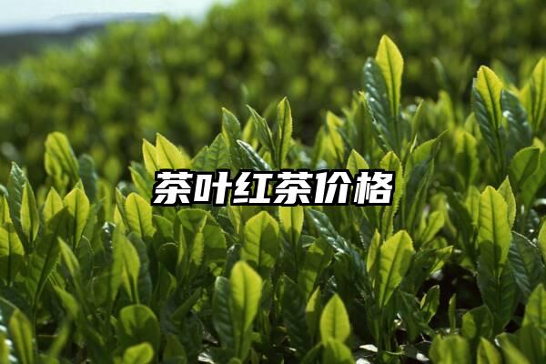 茶叶红茶价格