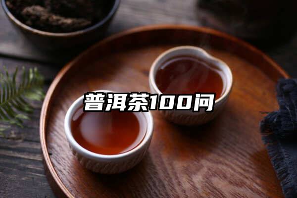 普洱茶100问