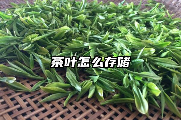 茶叶怎么存储