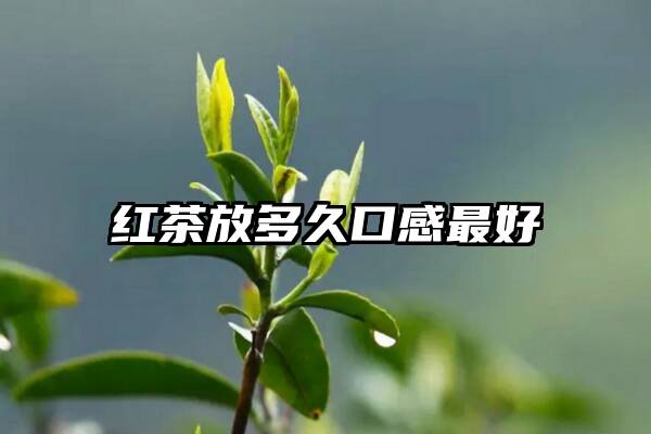 红茶放多久口感最好