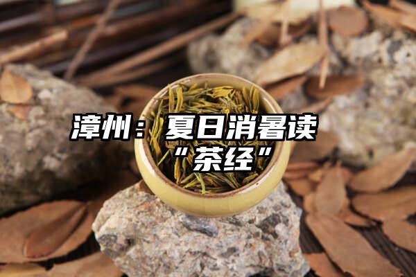 漳州：夏日消暑读“茶经”