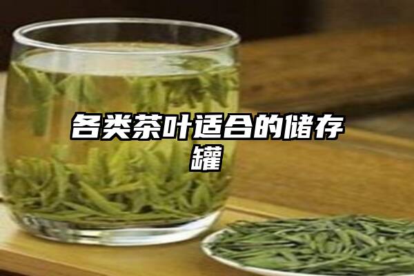 各类茶叶适合的储存罐