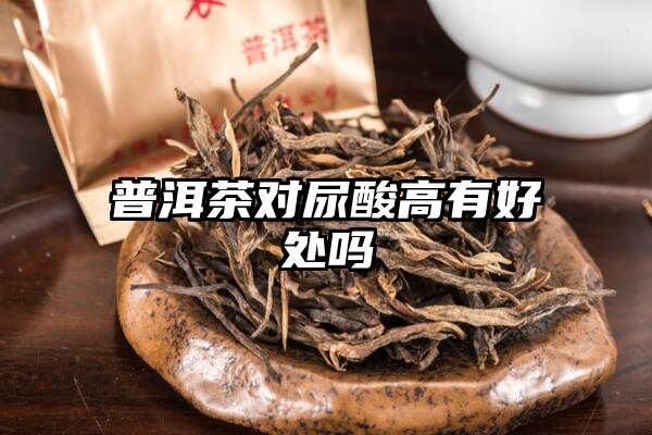 普洱茶对尿酸高有好处吗