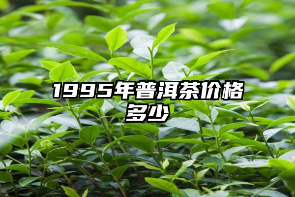 1995年普洱茶价格多少