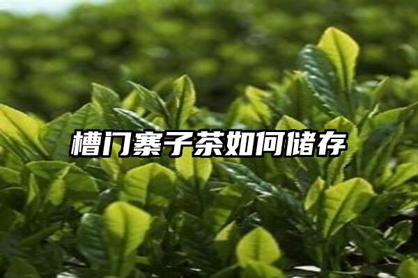 槽门寨子茶如何储存