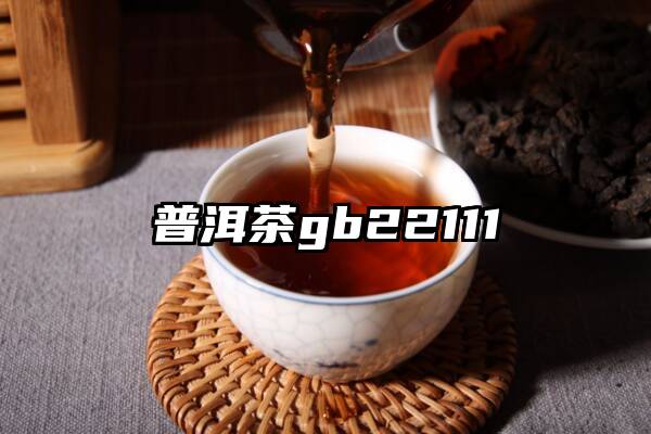 普洱茶gb22111