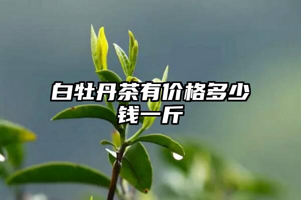 白牡丹茶有价格多少钱一斤