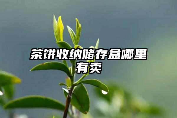 茶饼收纳储存盒哪里有卖