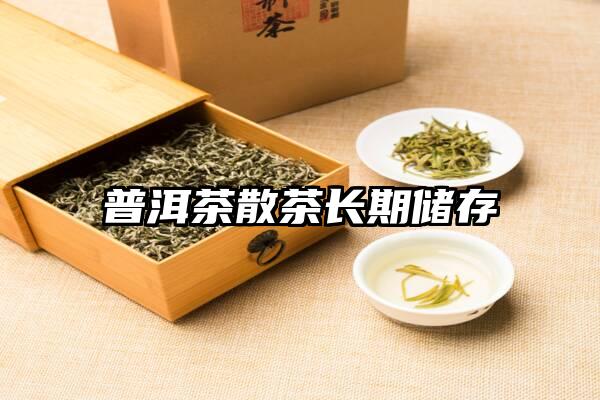 普洱茶散茶长期储存