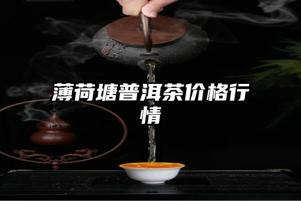 薄荷塘普洱茶价格行情