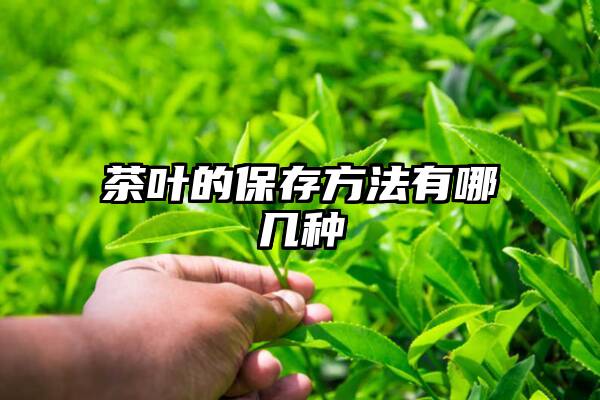 茶叶的保存方法有哪几种