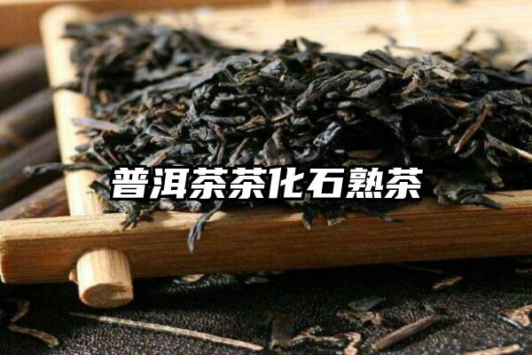 普洱茶茶化石熟茶