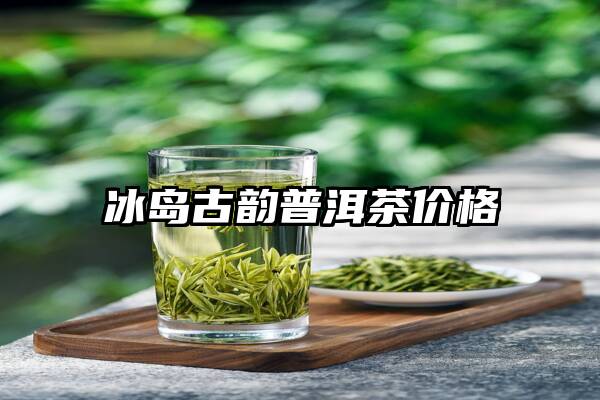 冰岛古韵普洱茶价格