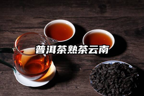 普洱茶熟茶云南