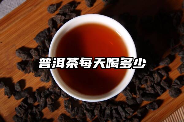 普洱茶每天喝多少