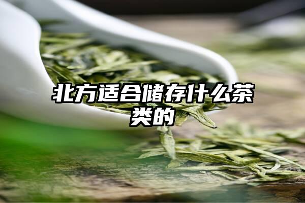 北方适合储存什么茶类的