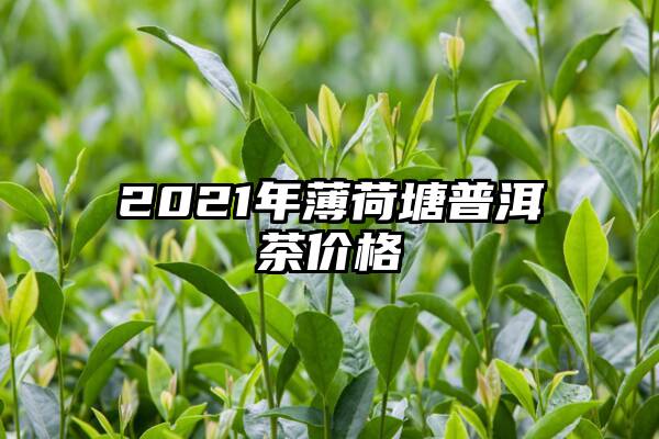 2021年薄荷塘普洱茶价格