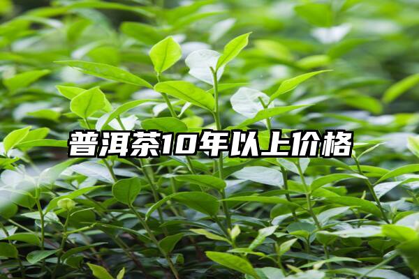 普洱茶10年以上价格