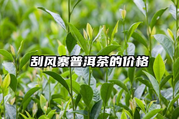 刮风寨普洱茶的价格