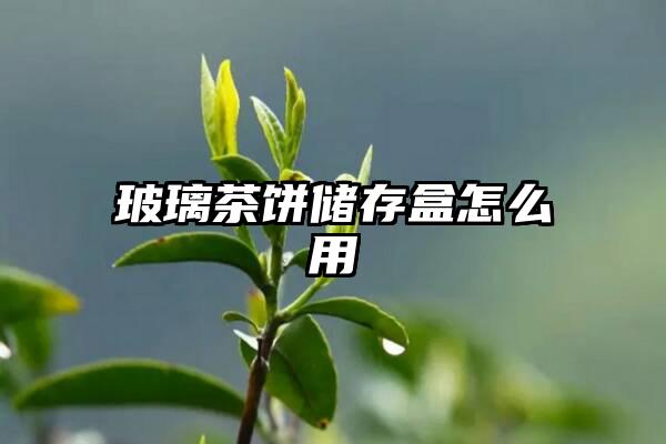 玻璃茶饼储存盒怎么用