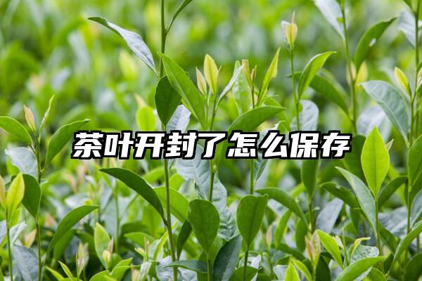 茶叶开封了怎么保存