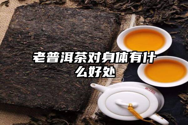 老普洱茶对身体有什么好处