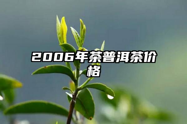 2006年茶普洱茶价格