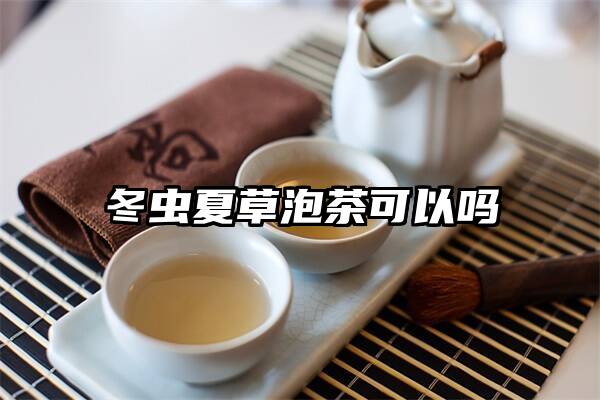 冬虫夏草泡茶可以吗