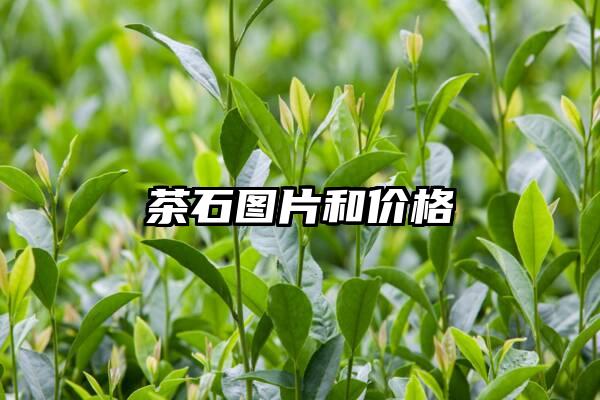 茶石图片和价格