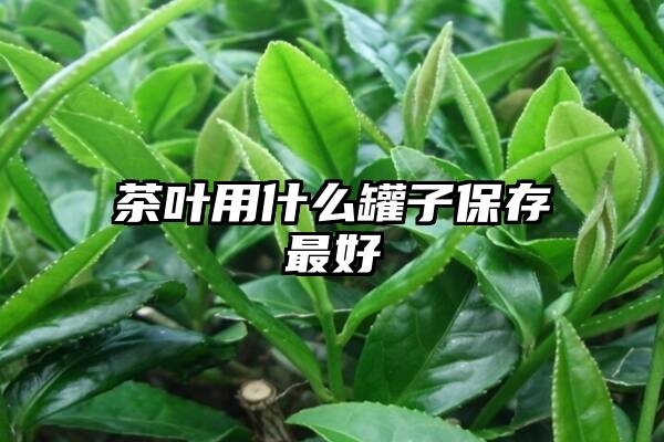 茶叶用什么罐子保存最好