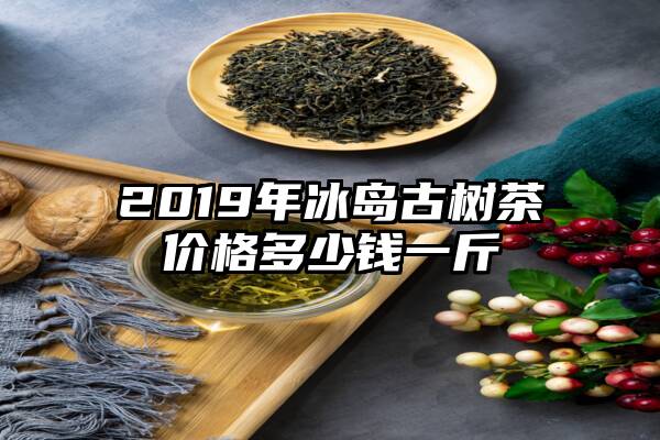 2019年冰岛古树茶价格多少钱一斤