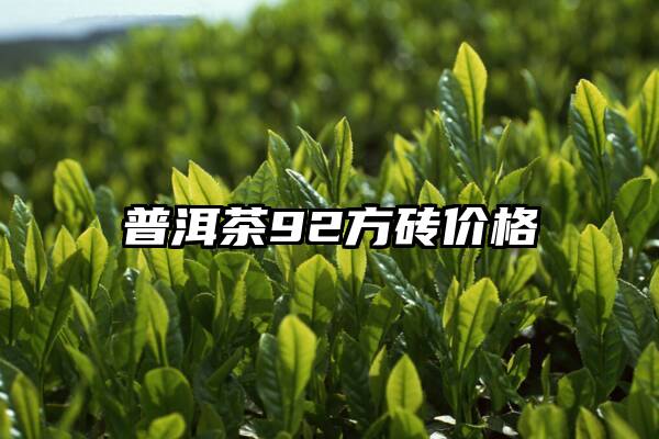 普洱茶92方砖价格