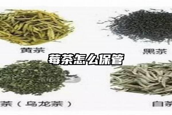 莓茶怎么保管