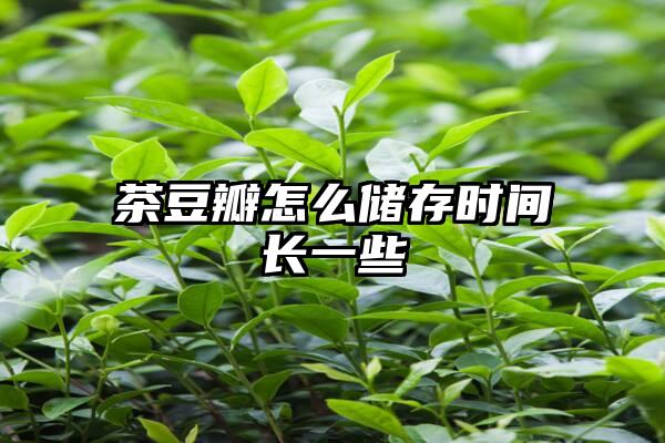 茶豆瓣怎么储存时间长一些