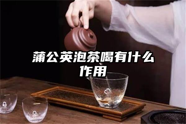 蒲公英泡茶喝有什么作用