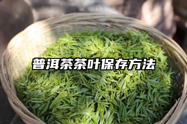 普洱茶茶叶保存方法