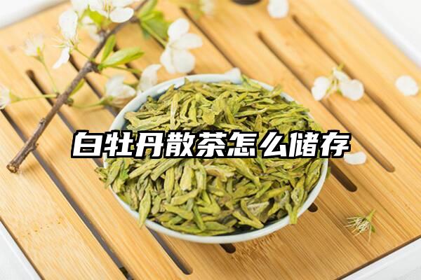 白牡丹散茶怎么储存